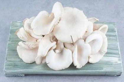 Oyster Mushroom in Narayanganj